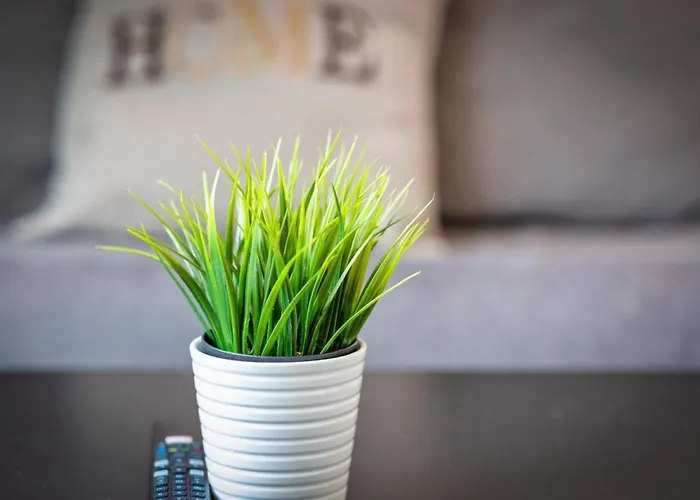 Appartement Le Nid Douillet Proche Du Vieux Marche *